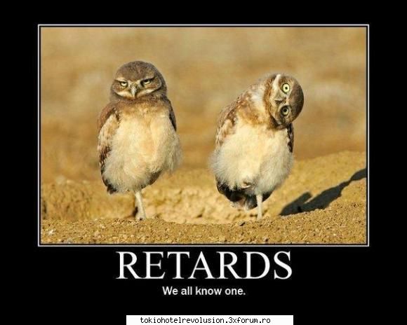 Funny pics ! - ��Crazy Butterfly�� - Discuţii