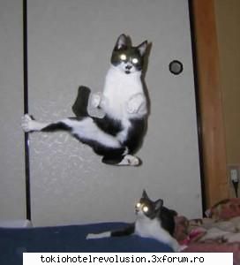 Funny pics ! - Admin - Discuţii