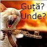 Funny pics ! - Eva - Discuţii