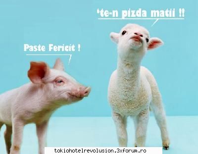 Funny pics ! - Hahahahahaha Asta-i asa, de sezon :> - Discuţii