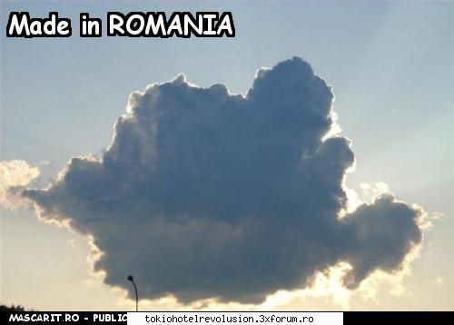 Funny pics ! - ��Crazy Butterfly�� - Discuţii