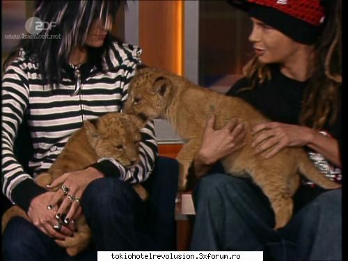 Kaulitz Twins - lil'devil - Fotografii