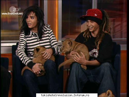 Kaulitz Twins - Admin - Fotografii