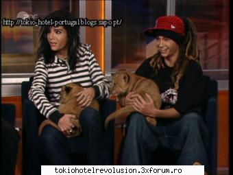 Kaulitz Twins - C mumosi si simpatici sunt aici cu catelusii - Fotografii