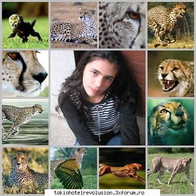 This is me , diana - animalul meu preferat - Fotografii cu utilizatorii