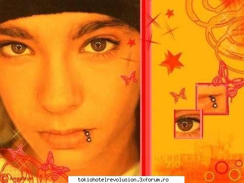 Tom - ~bill is my love~ - Fotografii