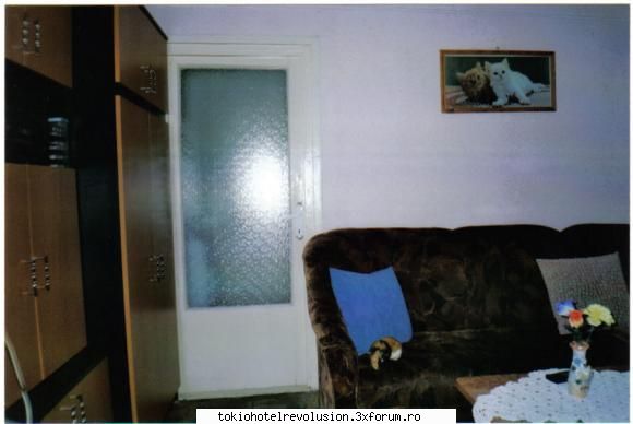 animale de companiee - am avut un porcusor de guineea super scump - Arhiva Generala /General Archive