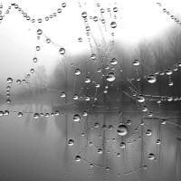 avatare - ~bill is my love~ - Arhiva Generala /General Archive