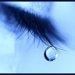 avatare - ~bill is my love~ - Arhiva Generala /General Archive