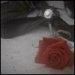 avatare - ~bill is my love~ - Arhiva Generala /General Archive