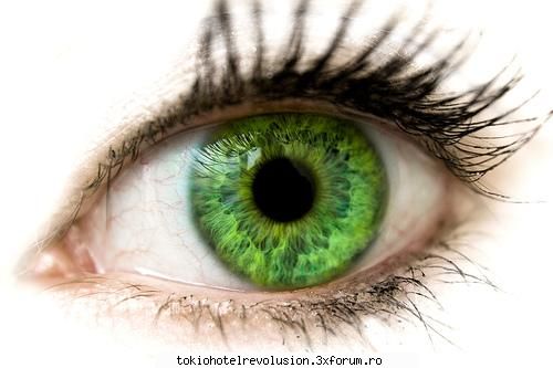 messul asata:))[vocabular 18+] - next pls plsplsplsplspls - Fan Fiction Archive