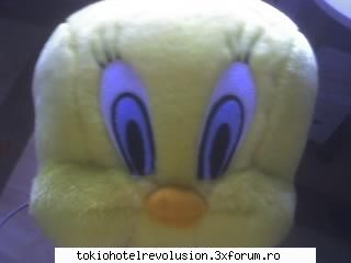 poze cu personajele de desene animate preferate - asta i tweety meu - Arhiva Generala /General Archive