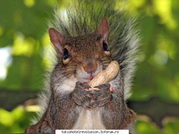 asta seamana cu mine? :nebun:  :rusine:  :nebun:  :rusine:  :limba: poze funny:)