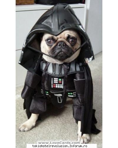 poze funny:) - "Anakin,san, eu sunt tatal tau!!!" ~*~*~Razboiul - Arhiva Generala /General Archive