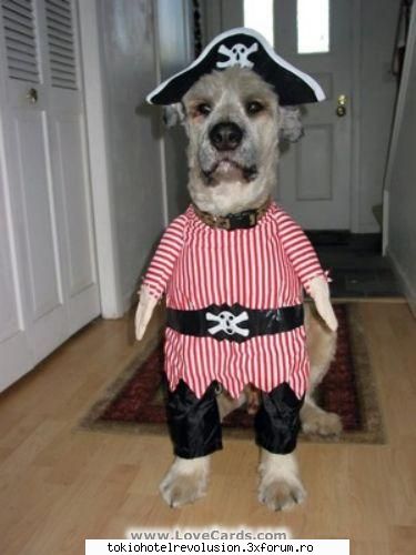poze funny:) - "ha ...asta e cel mai original costum....am ceva - Arhiva Generala /General Archive