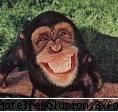 poze funny:) - amy_kaulitz - Arhiva Generala /General Archive