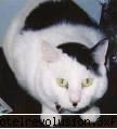 poze funny:) - amy_kaulitz - Arhiva Generala /General Archive