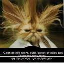 poze funny:) - nu-i asa k seamana cu bill? - Arhiva Generala /General Archive