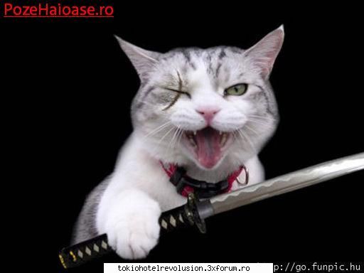 poze funny:) - ~bill is my love~ - Arhiva Generala /General Archive