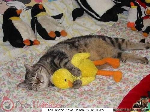 poze funny:) - ~bill is my love~ - Arhiva Generala /General Archive