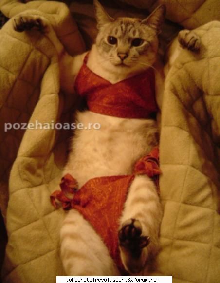 poze funny:) - ~bill is my love~ - Arhiva Generala /General Archive