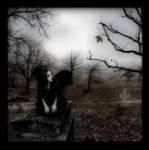 poze in stilul gothic! - amy_kaulitz - Arhiva Generala /General Archive